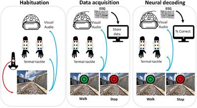 Embodiment Comfort Levels During Motor Imagery Training Combined With Immersive Virtual Reality in a Spinal Cord Injury Patient